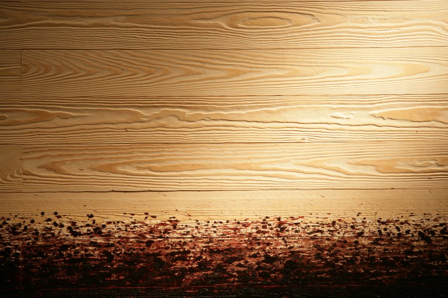 Diary Dagboek - _Diary Dagboek_ (detail: dried blood on wall). Photo: Koen Blomme Diary Dagboek - _Diary Dagboek_ (detail: dried blood on wall). Photo: Koen Blomme