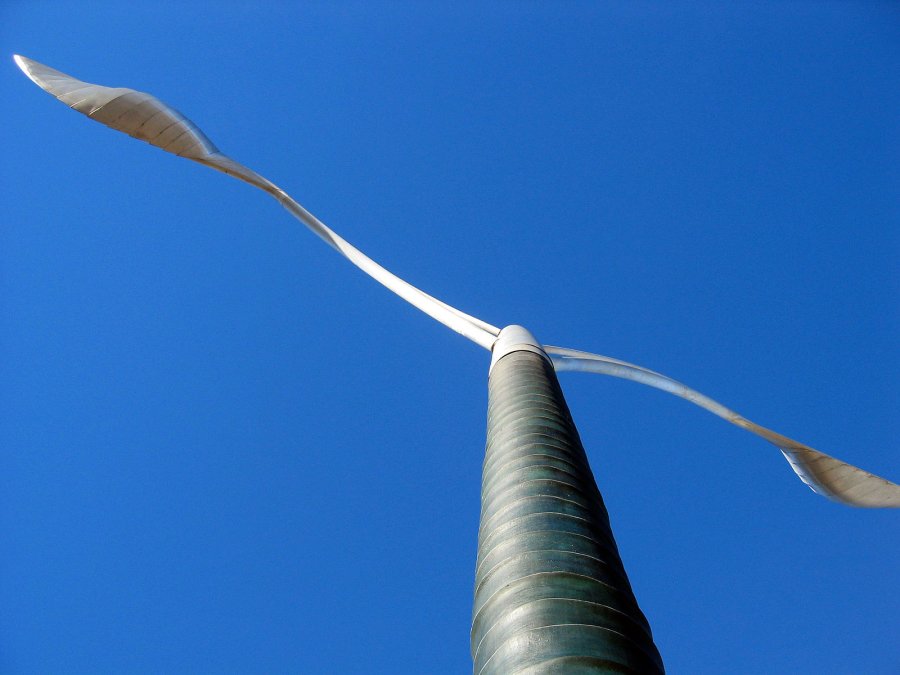 Kereru - _Kereru_. Photo: Studio of Pacific Architecture Kereru - _Kereru_. Photo: Studio of Pacific Architecture